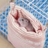 Lyricalist Guinea Winter Nest view 3