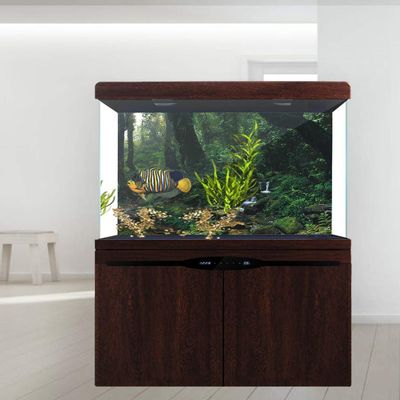 Aquarium Background - Riverway Green Woods