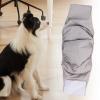 Dog Diapers for Female Dogs view 2