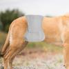 Dog Diapers for Female Dogs view 3