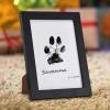 Pet Paw Print Kit view 3