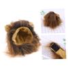 BESPORTBLE Cat Lion Costume view 1