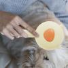 Youngwier Pet Slicker Brush view 3