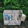 Budgie Nest Box - Small Birdhouse view 4