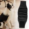 Dog Diapers for Small Female Dogs view 2