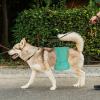 Washable Dog Diapers for Small Female Dogs view 2