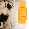 Washable Dog Diaper for Female and Male Dogs | Breathable, Soft Pet Diaper | Pi-Wrap view 2