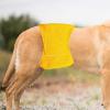Washable Dog Diaper for Female and Male Dogs | Breathable, Soft Pet Diaper | Pi-Wrap view 3