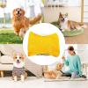 Washable Dog Diaper for Female and Male Dogs | Breathable, Soft Pet Diaper | Pi-Wrap view 4