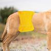 Dog Diapers for Female Dogs, Small Female Dogs view 3
