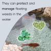 Heart-Shaped Floating Plant Ring - 5 Pack view 2