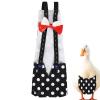 Reusable Bird Diapers for Chickens and Ducks view 1