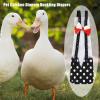 Reusable Bird Diapers for Chickens and Ducks view 2