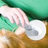 Pet Slicker Brush for Cats view 3