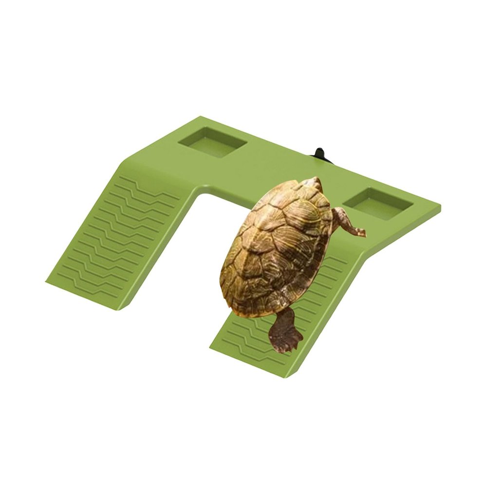Turtle Ramp for Aquariums