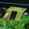 Turtle Ramp for Aquariums view 3