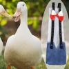 Chicken and Duck Diapers - Waterproof and Reusable view 3