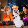 Bvizyelck Ghost Dog Costume view 2