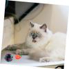 Yardwe 17-Piece Interactive Cat Teaser Stick Set view 4