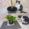 Cat Deterrent Mat, Plastic Spike Mat for Indoor and Outdoor Use view 3