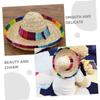 BCOATH Small Woven Hat for Pets view 3