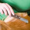 Floating Dog Hair Comb view 3
