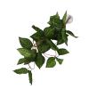 Tomvorks Simulation Green Vine view 1