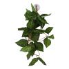 Tomvorks Simulation Green Vine view 2