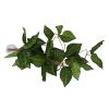 Tomvorks Simulation Green Vine view 3