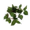 Tomvorks Simulation Green Vine view 4