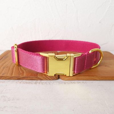 JKDSAO Unique Dog Collar, Size 5 (XL)