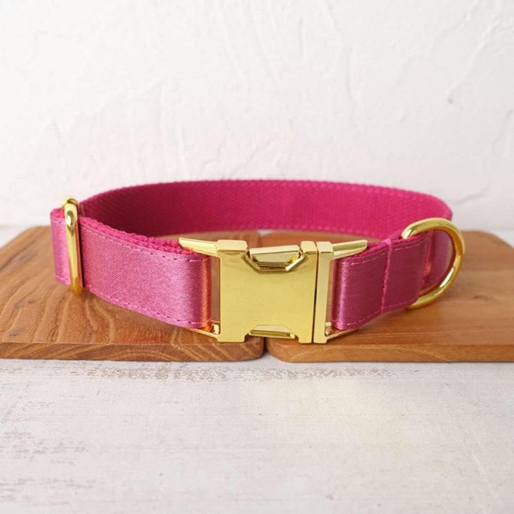 JKDSAO Unique Dog Collar, Size 5 (XL)
