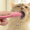 Cat Chin Brush | Silicone Brush | Non-Slip view 3