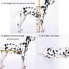 GJUOFFKO Dog Wheelchair for Large Dogs with Paralyzed Hind Legs, Adjustable Rear-Leg Rehabilitation Aid, 2 Wheels (Sizes L, XL) view 3