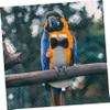 BUGUUYO 5-Pack Washable Bird Diapers for Parrots and Cockatiels, Decorative Flight Suits for Pets, Stylish Patterns, Lightweight and Comfortable view 3