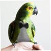 BUGUUYO 3-Piece Washable Bird Diapers for Parrots, Breathable Flight Suit Design for Pets, with Charming Patterns and Durable Material view 4