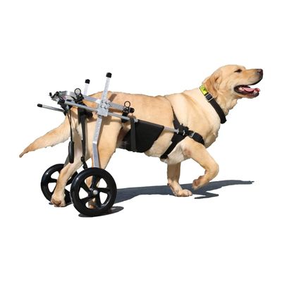 Adjustable Dog Wheelchair for Pets with Hind Leg Disabilities
