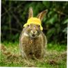 BUGUUYO 3-Piece Felt Hats for Guinea Pigs and Hamsters view 3