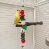 Bird Chew Toy for Parrots view 3