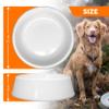 Terre Neuve (FRA) Dog Bowl, 21 cm, Non-Slip view 2
