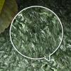 Reptile Carpet - Bearded Dragon Mat 40 x 25 cm view 4