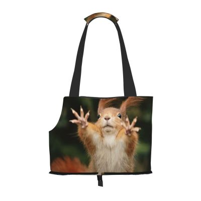 Squirrel-Print Carrier Bag for Small Dogs, Cats and Rabbits