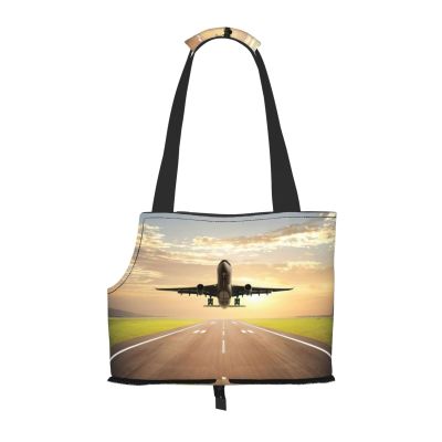 Airplane-Print Pet Carrier for Small Dogs, Cats, and Rabbits