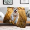 Labrador Plush Fleece Throw Blanket, Extra Soft and Warm, 130 x 150 cm view 2