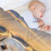 Labrador Plush Fleece Throw Blanket, Extra Soft and Warm, 130 x 150 cm view 4