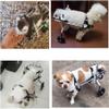 Large Dog Wheelchair for Hind Legs, Adjustable 2-Wheel Pet Cart view 2