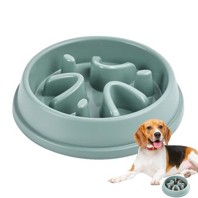 Qutalmi Slow Feeder Dog Bowl
