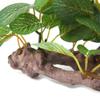 ZHENGCI Resin Aquarium Plant view 3