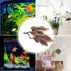 Betta Fish Plant for Aquarium view 2
