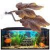 Betta Fish Plant for Aquarium view 4